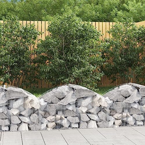 Gabione mit Hochbogen, Anzuchttöpfe Blumentopf Mit Füßen Hochbeet Mit Deckel Kräuterbeet Geeignet für Entrance Area Terrace Conservatory Garten 100x50x40/60 cm Verzinktes Eisen