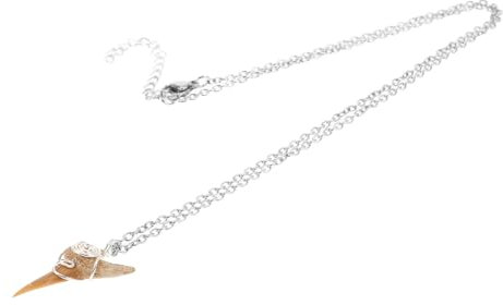 Toyvian Haifischzahn Anhänger Halskette Metall Strand Schmuck Zahn Surferkette Tierkette Für Jungen Mädchen Frauen Männer