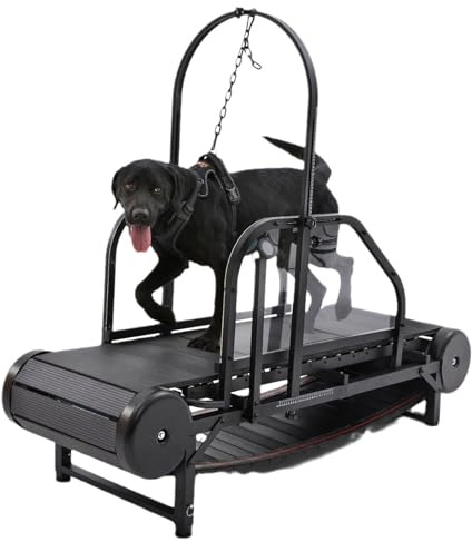 Dog Treadmill for Large Dogs - Adjustable Quiet Slatmill Machine with Pedometer and Safety Rail for Apartment Living