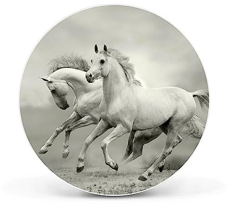 banjado Magnettafel Ø 47cm Weiß - Magnetwand aus Metall - Magnetpinnwand als Memoboard - Pinnwand Magnettafel Küche, Büro, Kinderzimmer inkl. 4 Magnete & Montageset - Wilde Pferde SW