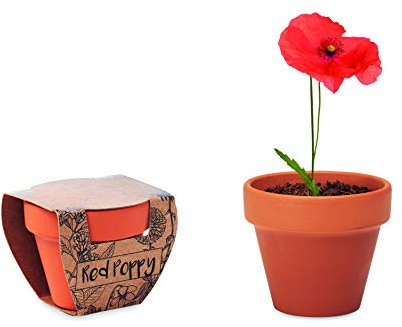 Set di 3 piante per la coltivazione di fiori, girasoli, nontiscordardime, papaveri in terracotta con substrato di coltivazione (papaveri (rosso)