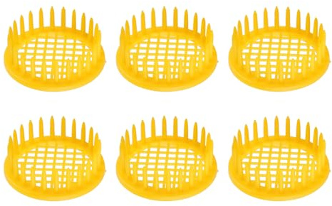Gabbie per api regina, 6 Gabbie Per Api Regine Per Apicoltura Strumenti Per L'apicoltura in Gabbia/cattura Api Regine, Strumenti Per La Cattura di Api Regine in Plastica Per Catturare E Conservare