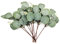 ZWFSDM Branche de Feuilles Eucalyptus, Plantes Artificielles, Feuilles Fleurs Artificielles, Plantes de Lierre Plastique Décoratives pour Intérieur, Extérieur, Vase, Décoration - 12 Paquets