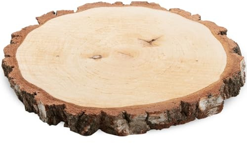 Große Holzscheibe zum Basteln oder Dekorieren - 1 Stück naturbelassene Baumscheibe ca. 30 cm (28 - 32 cm) Durchmesser aus Birkenholz - runde Holz Birkenscheibe als Holzdeko Holzplatte
