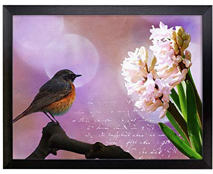 Lap Tray with Cushion | Hyacinth Throttle Bird Pink Flower | Padded Bean Bag Cushion | For Eating, Working, Crafting, Laptop | Portable Table Desk