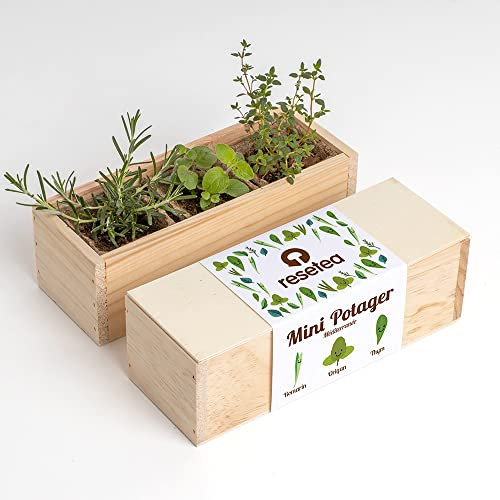 Resetea | Kit de plantation | Mini Potager | Méditerraneé | Romarin, origan et thym