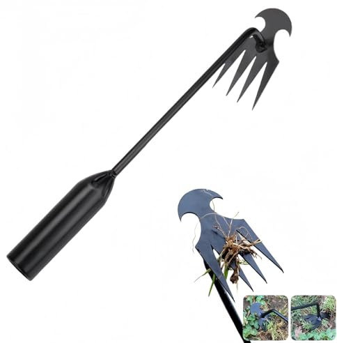 Generico Zappe da Giardino per diserbo, Sarchiatore Manuale con Manico, Earchiatore per Erbacce Professionale, Attrezzi per Diserbo, Estirpatore Erbacce orto, Estirpatore Erbacce Manuale