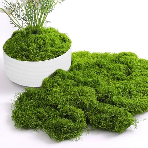 Kunstmoos zum Dekorieren und Basteln, konserviertes Moos für Floristik und Weihnachtsdekoration