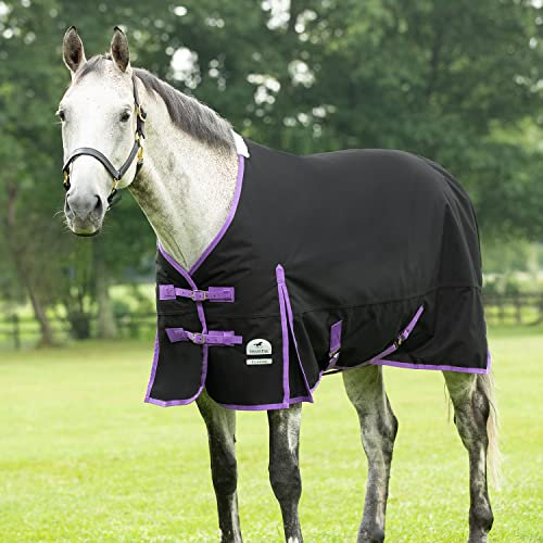 SmartPak Classic Pferdedecke, 81-Lite (0 g), Führmaschinendecke mit Pferdedecken Verschluss, Schwarz/Violett