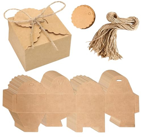 50 Stück Kraftpapier Faltschachtel,Karton Geschenkboxen Brown Mit Deckel,Kleine Schachteln mit 50 Juteseilen und 50 Anhängern,für Geschenke,Geburtstag