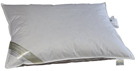 Betten Hofmann Kinder Baby Daunenkissen Kissen 40x60 cm medium 100g ungesteppt 100% Daunen 100% Natur waschbar, weich und kuschelig,