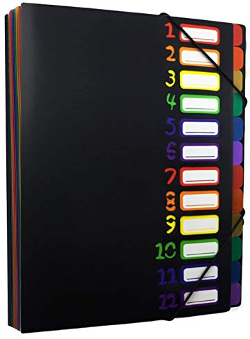 Projektmappe A4 Ordnungsmappe Pultordner 12 Fächer Pultmappe Personalmappe Mit Gummizug Sammelmappe Plastik Ringordner Wasserdichtes Ringbuch Personalhefter für Schule Büro Kunst Business