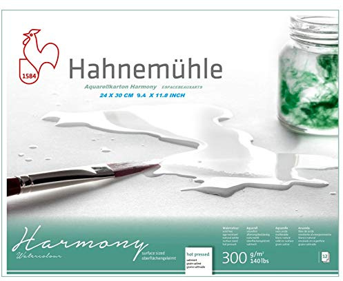 Hahnemühle Aquarellkarton Harmony, satiniert, 300 g/m², 24 x 30cm, 12 Blatt.Made in Germany