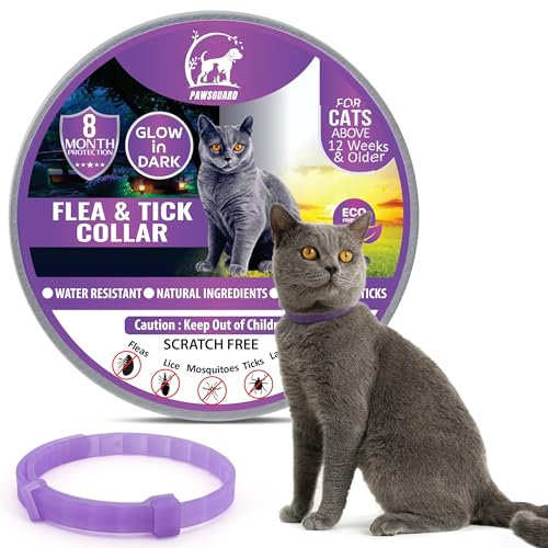 Cat Repellent Treatment, Single Pack Repellent Collar, Adjustable for Small Medium Large Cats, Glow in the Dark Natural Waterproof Design (Single Pack Purple)