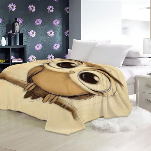 Kuscheldecke Cartoon-Eule Fleecedecke 220 x 240 cm Weiche Flauschig Babydecke Warme Kuschelig Sofadecke für Mädchen Junge, Geschenke Passend zu Allen JahreszeitenBraun