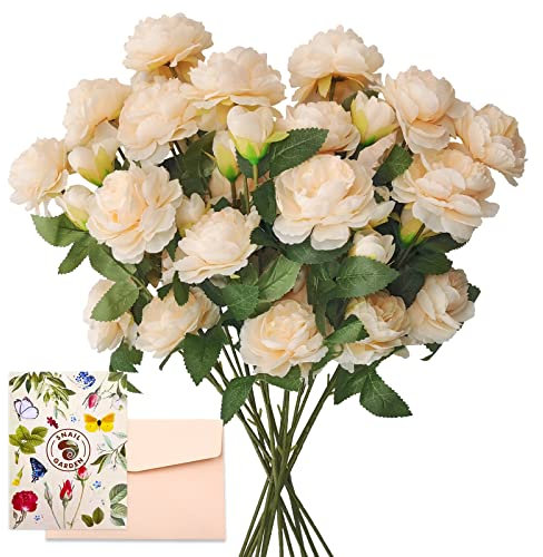 SNAIL GARDEN 12 STK Künstliche Rosen Künstliche Pfingstrose, Champagner Einzelstiel Seide Rosenstrauß mit 36 Köpfe, 65CM Langer Stiel Rose Langestiel Pfingstrosen Blumenstrauß für Braut Hochzeit