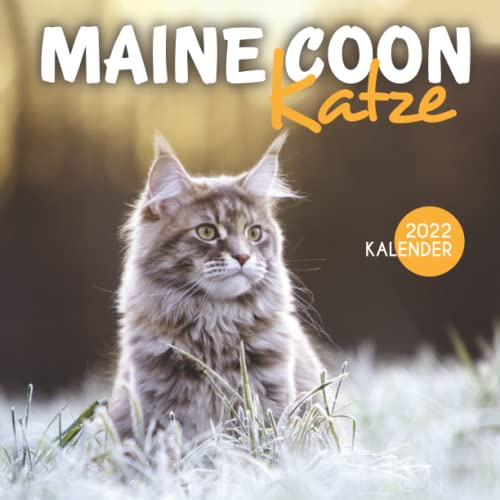 Maine Coon Katze Kalender 2022: 12-Monats-Kalender von Jan 2022 bis Dez 2022. Platz für Notizen. Es ist ein perfektes Geschenk für einen geliebten Menschen