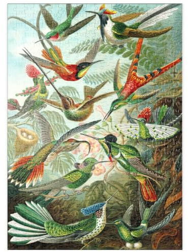 MyPuzzle Hummingbirds and Trochilidae (colibris), Affiche d'art Vintage, Ernst Haeckel - Premium 500 Pièces Puzzle - Collection spéciale MyPuzzle de Havana Puzzle Company