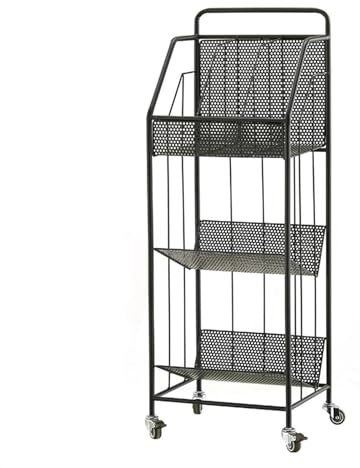 Prospektständer Broschüren-Ausstellungsstand, Aufbewahrungs-Bücherregal, bodenstehender Zeitschriftenständer aus Metall, Zeitungsständer, leicht zu bewegen, leicht zu montierende Fächer for das Wohnzi