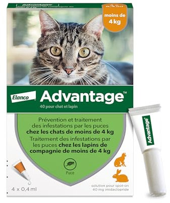Advantage Chat & Lapin de moins de 4 kg – Pipettes anti puces chat pour prévention des infestations – Traitement anti puces avec protection de 3 à 4 semaines – 4 x 0,4 ml