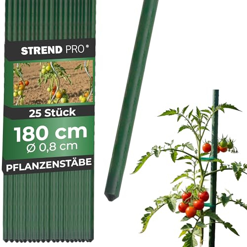STREND PRO Pflanzstäbe 180 cm - 25 STK. Set | Ø 8 mm Stahl + Kunststoff | Rankstab Grün | Tomaten & Bohnenstangen | Pflanzenstütze groß | Metalle Rankhilfe | Stützstäbe für Pflanzen | Pflanzstütze