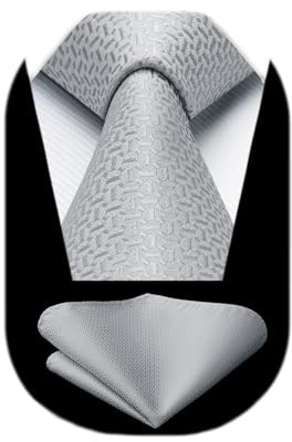 HISDERN Krawatte Grau Herren Krawatten mit Einstecktuch Hochzeit Elegant Krawatte & Taschentuch Set Business