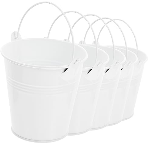 Lot De 5 Pots De Fleurs en Fer Mini avec Poignée Idéal pour Décoration De Jardin Et Intérieur Parfait pour Plantes Succulentes Et Fleurs