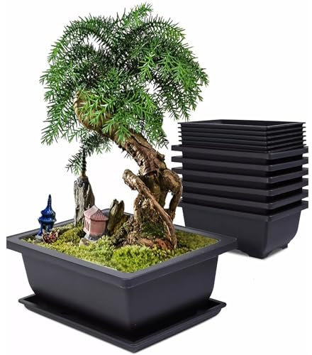 Alleshelfer Set di 6 Vasi per Piante Rettangolare, Vaso per Bonsai Grande in Plastica con Vassoio, Adatto per Alberi Bonsai, Piante Grasse, Piante Cactus, Fiori, Indoor e Outdoor
