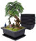 Lot de 6 bols à bonsaï avec soucoupe - Réutilisables - Avec plateaux - En plastique - Pour jardins, salons, rebords de fenêtre, terrasses