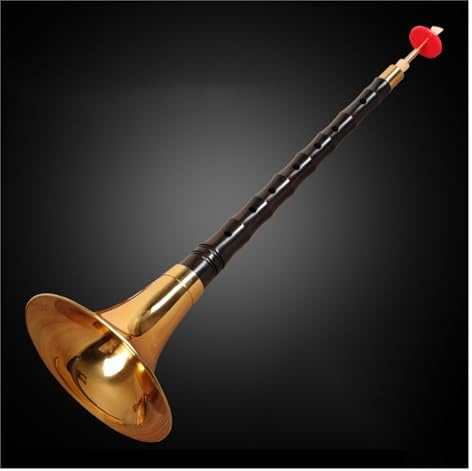 Ebenholzstange Suona Erwachsene Anfänger Suona Horn Chinesisches Traditionelles Ethnisches Blasinstrument Suona Set (Color : C key)
