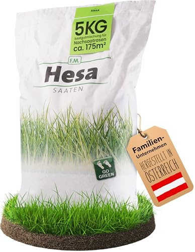 Hesa Nachsaatrasen 5 kg - Schnellkeimende Rasensamen RSM 3.2 für 175 m² | Für kahle Stellen und Rasenlücken - Belastbare Qualitätsmischung mit 4 Gräsersorten, einfache Anwendung, Made in Austria