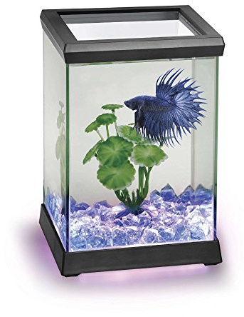 Ocean Free AT619A Kit Betta Space Led, Nero