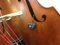 Upright Bass Pickup with Flexible Micro Gooseneck by Myers Pickups