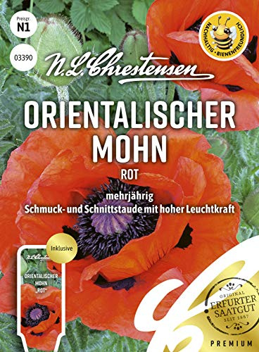 Orientalischer Mohn Rot Samen, Saatgut