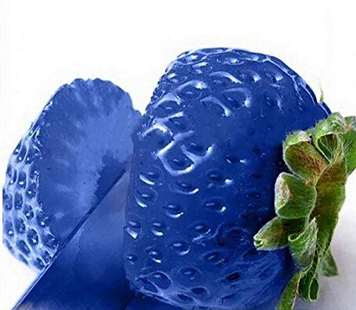 Graines de Fraises, 100 graines de Fraises Douces Multicolores Maison Jardin Ferme Plantation de Plantes fruitières Graines (Bleu)
