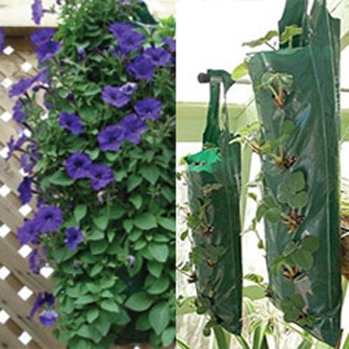 Hanging Flower Strawberry Planter Bags - Pack of 3 Now Grow Kitchen Herbs and other Plants
