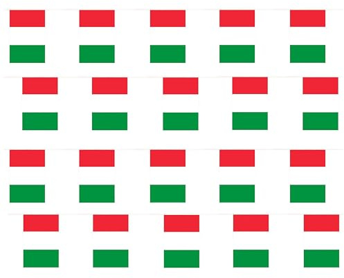 Banderines de bandera italiana, 10 m, 33 pies, bandera 20, poliéster para todo tipo de clima, decoración para interiores y exteriores, eventos deportivos, fiestas en la calle, festivales y celebraciones