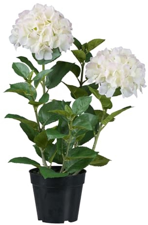 CREATIV green künstliche weiße Hortensie 58 cm im schwarzen Kunststofftopf I Hortensie wie echt im Topf I künstliche Hortensie mit 5 Zweigen & 2 Blüten für Innen I hochwertige Dekopflanze