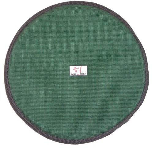 DOGS and MORE - Schwimmfähiger Frisbee Groß für Hunde - Grün - Hundespielzeug - Durchmesser 23 cm