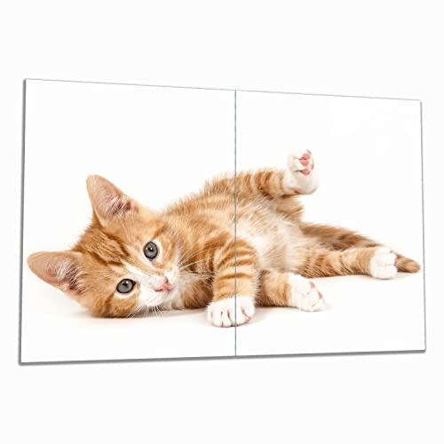 Wallario Herdabdeckplatte/Spritzschutz aus Glas, 2-teilig, 80x52cm, für Ceran- und Induktionsherde, Süße Katze mit großen Augen - rot weiß getigert