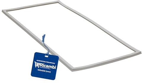 eRicambi® Guarnizione Porta Frigorifero compatibile con Indesit Ariston, Dimensioni: 1133x530 (mm), Colore Bianco, Codice C00142512, per modelli BD291 BD2920/HA R2821 RGA300W