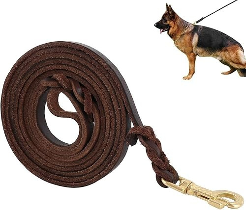 Hundeleine Leder Weich Langlebig, Lederleine Hund Braun Handgewebt mit Robust Messingschnalle für Kleine Mittelgroße Große Hunde (300x1,2cm)