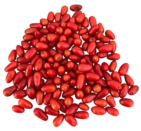 10 Semillas Chiltepin -Chile- by Samenchilishop