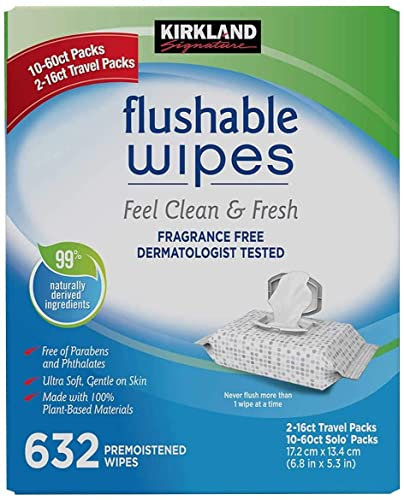 Kirkland Signature Moist Flushable Wipes 632 Count Fast, White