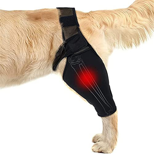 Vnook La lesión en la Pierna del Perro soporta Las Patas Delanteras y traseras, Transpirable, Ajusta el Soporte Adicional de la Rodilla de la Funda Protectora del Muslo del Perro. (Size : L)
