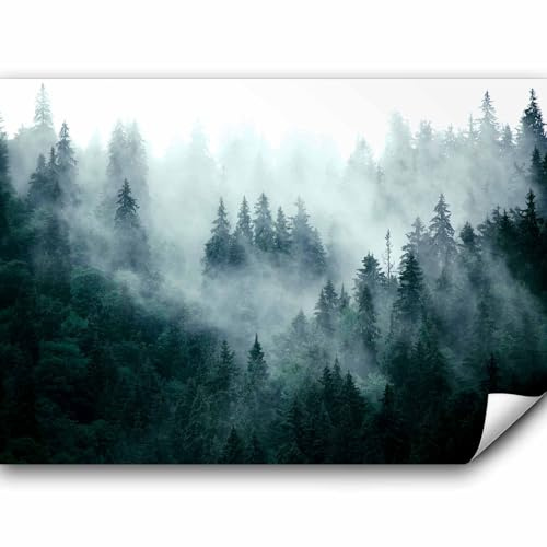 murando - Fototapete Vlies Wald Nebel, 350x256 cm, Schlafzimmer, Wohnzimmer | Full HD Druck, 3D-Effekt, lichtbeständige Farben, ideal fürs Wohn- oder Schlafzimmer, schnelle Montage, lichtbeständig, edel