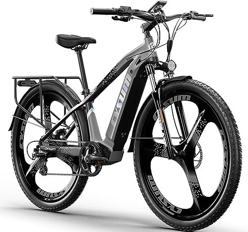 cysum Speedy Elcykel, 29 tum, elektrisk mountainbike för vuxna män, med avtagbart batteri på 48 V, 14 Ah, 80 km räckvidd, 55 Nm, 25 km/h (grå)