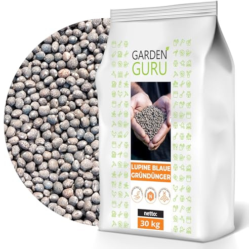 Lupine blau Samen Lupinus Gründüngung Düngelupinen Dünge-Lupine 30kg schnelles Wachstum, Bodenverbesserung, Tierfutter, Honigpflanze, hochwertige Samen Süßlupine