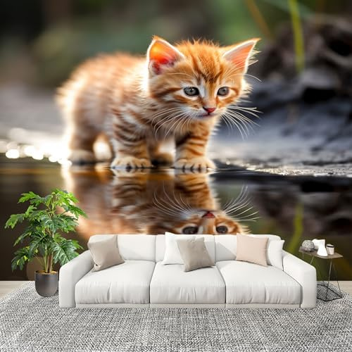 Fotomurales Animales Lindo Gato Naranja Papel Pintado Tejido No Tejido Moderna Diseno Fotográfico Decoración De Pared Sala Cuarto Oficina Salón Gato Papel Pintado 200x140 cm