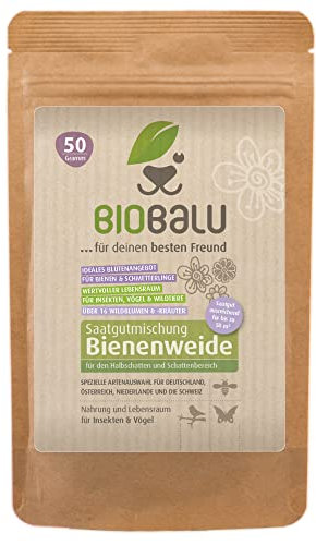 Biobalu Öko Blumenmischung Bienenweide speziell für den Halbschatten- und Schattenbereich + für bis zu 50 qm, mehrjährig und winterhart, viele Wildblumen und -kräuter, 50 g